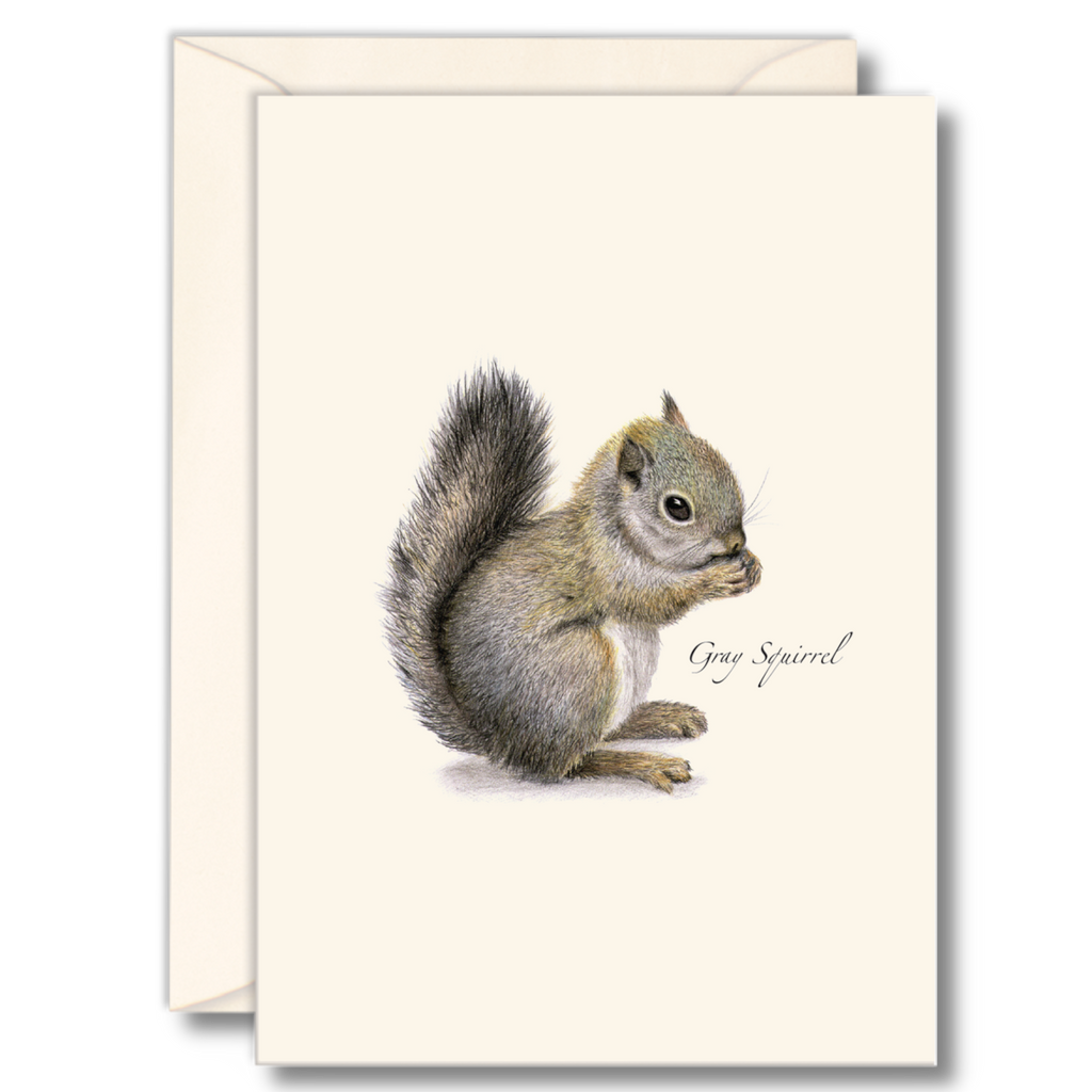 Fall and Holiday Notecards - Gray Squirrel