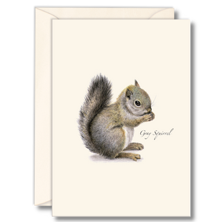 Gray squirrel notecard capturing a curious woodland moment, illustrated by experts