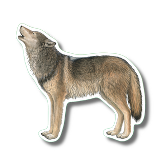 Gray wolf I stickers on water-resistant vinyl featuring a keystone predator species