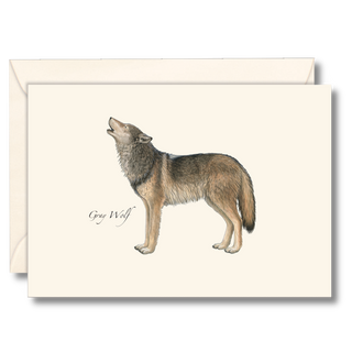 Gray wolf notecard capturing the spirit of wild landscapes