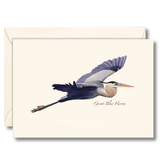 Great blue heron notecard capturing a graceful bird in flight