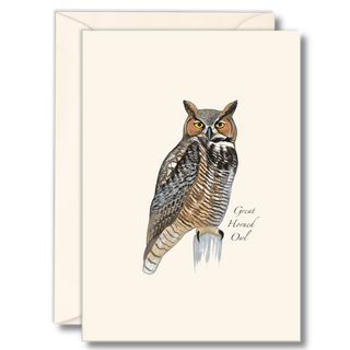 Great horned owl notecard featuring a powerful nocturnal bird, illustrated with care