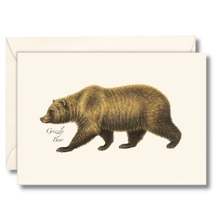 Grizzly bear notecard capturing the strength of the wild