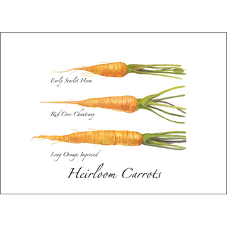 Heirloom carrots greeting card showcasing colorful roots, blank inside and nature-inspired
