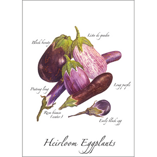 Heirloom eggplants greeting card featuring classic garden varieties, blank inside