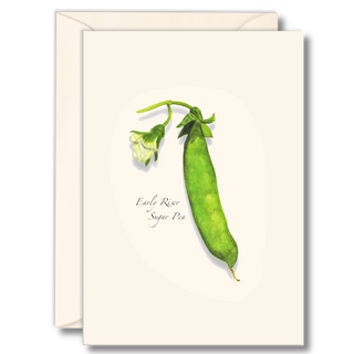 Heirloom pea notecard celebrating garden-grown food