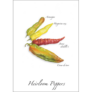 Heirloom peppers greeting card inspired by diverse shapes, colors, and garden harvests