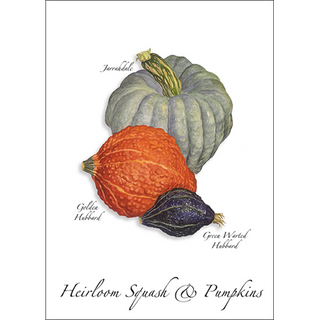 Heirloom squash and pumpkins greeting card with seasonal charm, blank inside