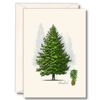 Hemlock notecard featuring a native evergreen illustration