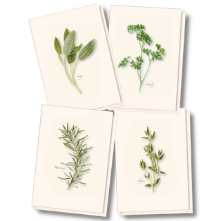 Herb notecard assortment inspired by garden and kitchen plants
