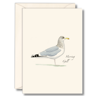 Herring gull notecard inspired by coastal shorelines, made in the USA