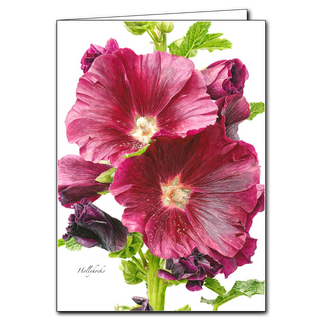 Hollyhocks greeting card highlighting tall garden flowers, printed on recycled paper and blank inside