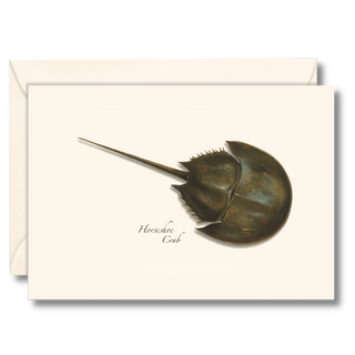 Horseshoe crab notecard inspired by ancient coastal life