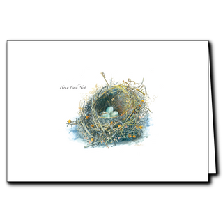 House finch nest greeting card highlighting backyard birds and nesting details