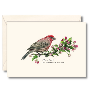 House finch notecard inspired by familiar backyard birds, printed on recyclable paper