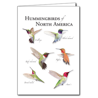 Perfect for nature lovers: Hummingbirds of North America greeting card, made in the USA.