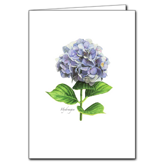 Hydrangea greeting card featuring lush garden blooms, made in the USA on recycled paper