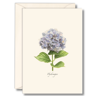 Hydrangea notecard showcasing soft summer blooms