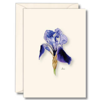 Iris notecard highlighting graceful spring blooms, made in the USA