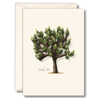 Joshua tree notecard inspired by desert landscapes