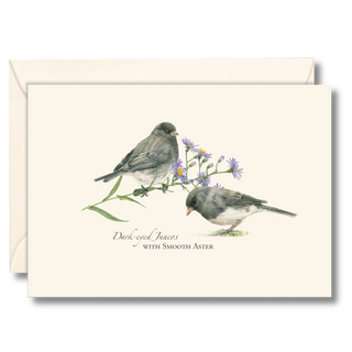Juncos notecard illustrated by experts, made in the USA and packaged in recyclable plastic from recycled bottles
