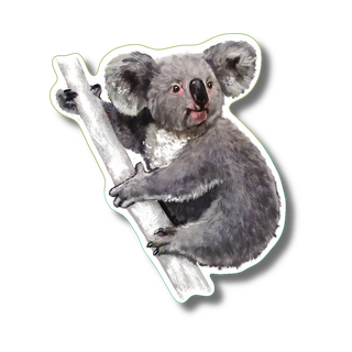 Koala stickers on water-resistant vinyl showing a native Australian marsupial species