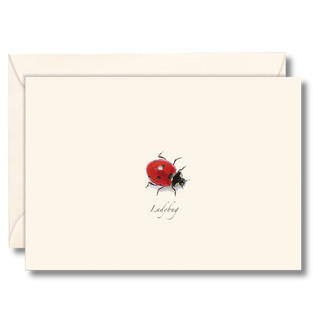 Ladybug notecard illustrated by experts, made in the USA and packaged in a recyclable box from recycled bottles
