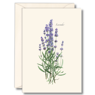 Lavender notecard inspired by fragrant garden blooms, printed on recycled and recyclable paper