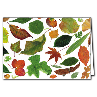 Leaves greeting card showcasing natural shapes and textures, printed on recyclable paper in the USA