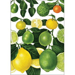 Lemons and limes greeting card with fresh citrus energy, made in the USA on recyclable paper