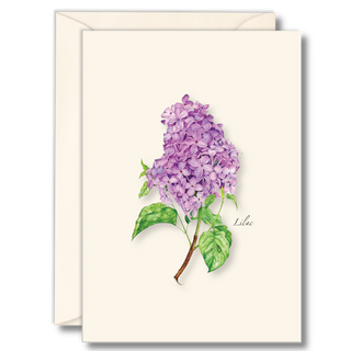 Lilac notecard celebrating fragrant spring flowers, illustrated with care