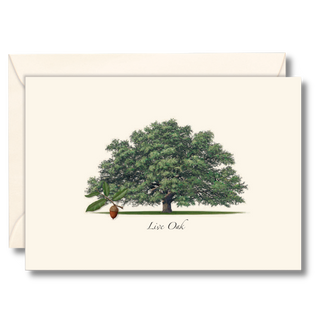 Live oak notecard showcasing a southern forest icon