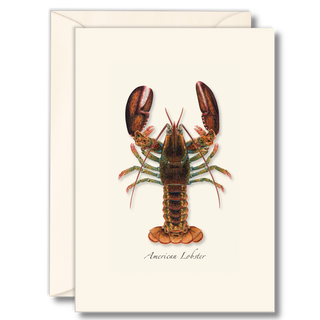 Lobster notecard inspired by iconic coastal waters