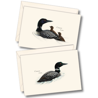 Loon notecard assortment inspired by northern lakes