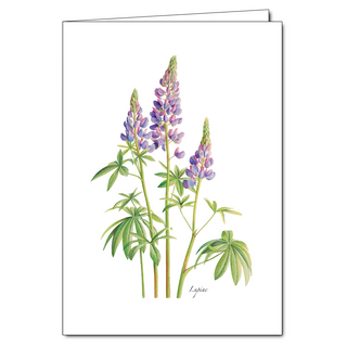 Lupine greeting card celebrating tall wildflower spikes