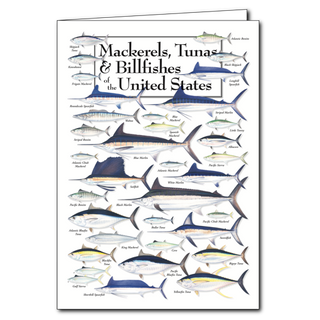 U.S. mackerels, tunas, and billfishes greeting card, blank inside