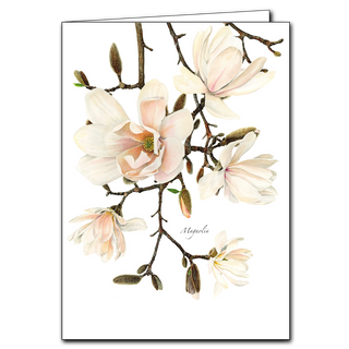 Share nature's beauty with this Magnolia II greeting card. Made from recycled paper