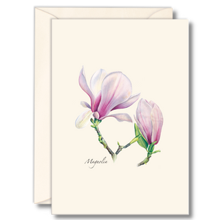 Magnolia notecard showcasing timeless southern blooms, illustrated by experts