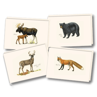 Mammal notecard assortment celebrating diverse wildlife