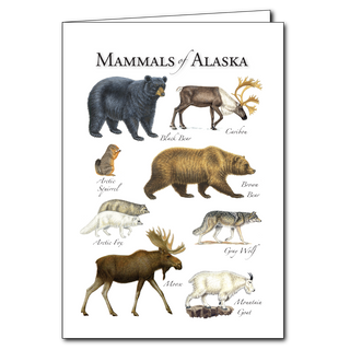 Alaska mammals greeting card inspired by northern wildlife