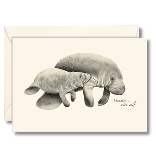 Manatee notecard inspired by gentle coastal mammals