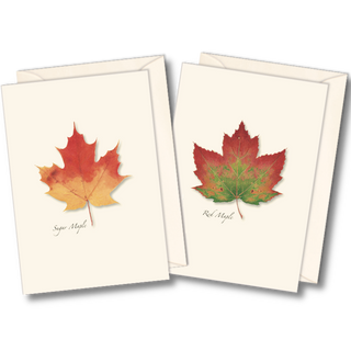 Maple leaf notecard assortment inspired by autumn forests