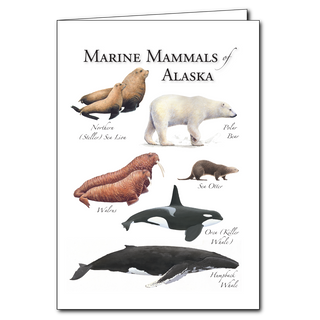 Alaska marine mammals greeting card with ocean species
