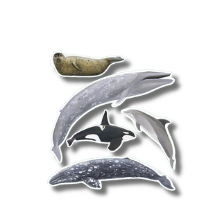 Marine mammals of the Pacific stickers with vibrant colors for regional species