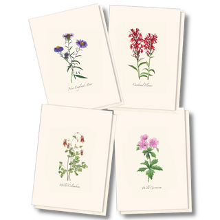 Meadow wildflower assortment notecards celebrating open-field blooms, illustrated by experts