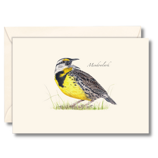 Meadowlark notecard created by expert illustrators, printed on recycled paper and boxed sustainably