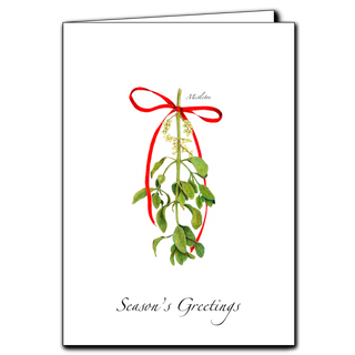 Mistletoe greeting card inspired by festive greenery and seasonal gatherings