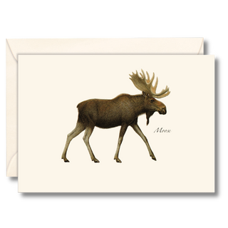 Moose notecard showcasing a majestic forest animal