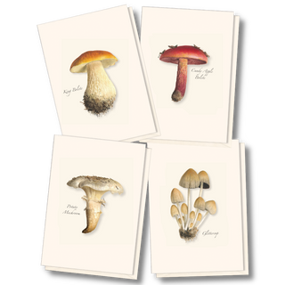 Mushroom assortment notecards featuring diverse woodland fungi, illustrated by experts