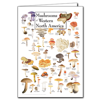 Western North America mushrooms greeting card inspired by diverse habitats, made in the USA